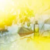 Hermes Jardin Monsieur Li 愛馬仕 李先生的花園中性淡香水100ml