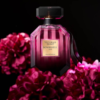 Victoria's Secret Bombshell OUD 炸彈烏木女性淡香精50ml